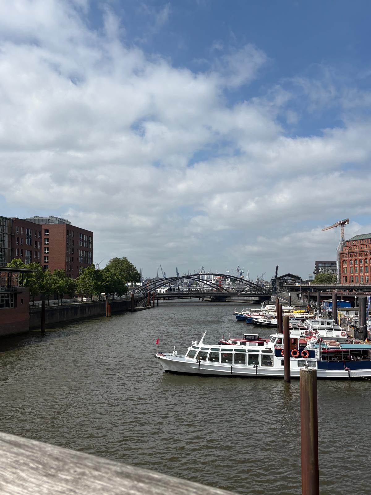 Alster Luftbild